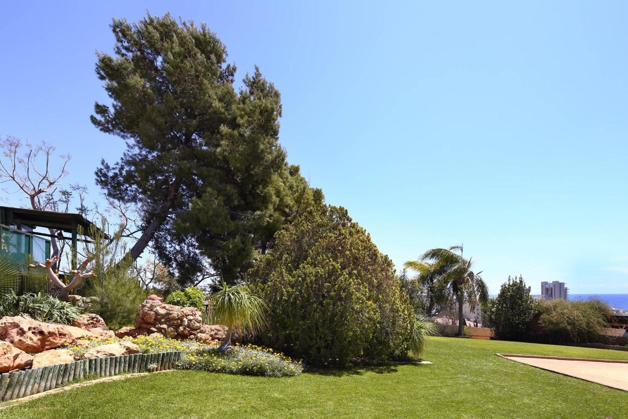 Olive Tree Apartments Limassol Ngoại thất bức ảnh